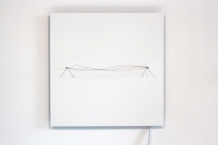 Liebl und Schmid-Pfähler - Lineas