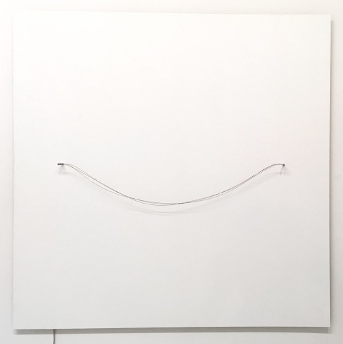 Liebl und Schmid-Pfähler - Lineas