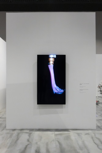 Carolin Liebl und Nikolas Schmid-Pfähler - Forever Fading