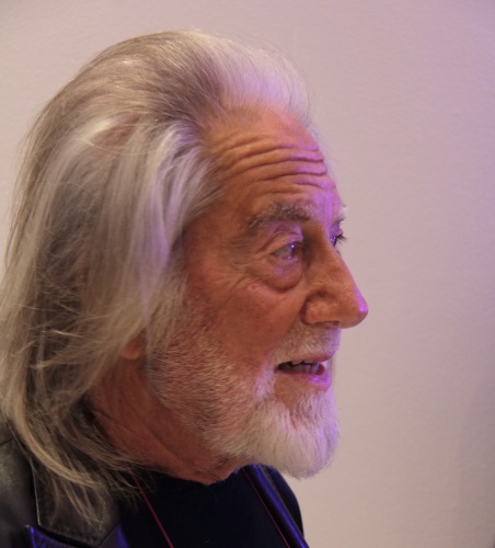 Fabrizio Plessi