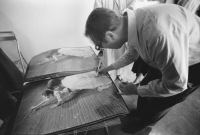 Heinz Gappmayr