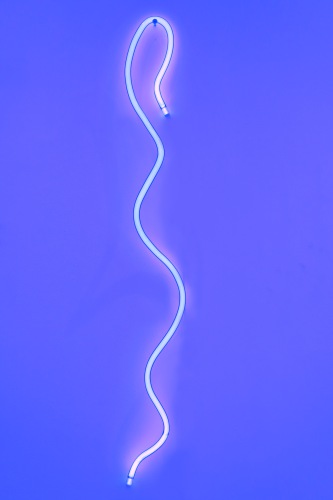 Jan van Munster - Hanging Brainwave