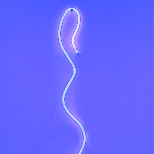 Jan van Munster - Hanging Brainwave