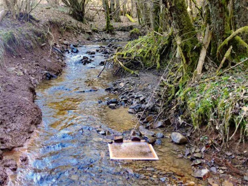 Naturaquarell im Michelbach